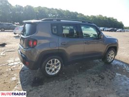 Jeep Renegade 2019 2