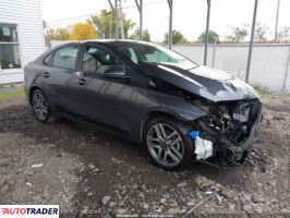 Kia Pozostałe 2019 2