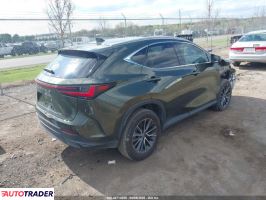 Lexus NX 2024 2