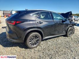 Lexus NX 2024 2