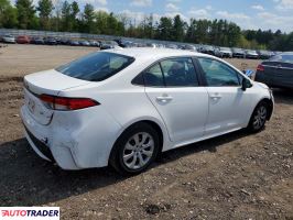 Toyota Corolla 2020 1