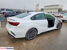 Kia Pozostałe 2024 1