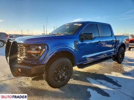 Ford Pozostałe 2024 2