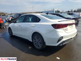 Kia Pozostałe 2024 2