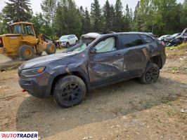 Jeep Cherokee 2019 3