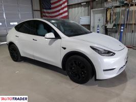 Tesla Model Y 2020