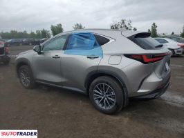 Lexus NX 2025 2 Lexus NX 2025 2