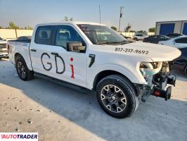 Ford Pozostałe 2024 2 Ford Pozostałe 2024 2
