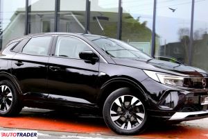 Opel Grandland X 2023 1.2 131 KM