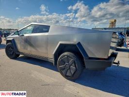 Tesla Pozostałe 2024