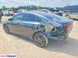 Kia Pozostałe 2024 2
