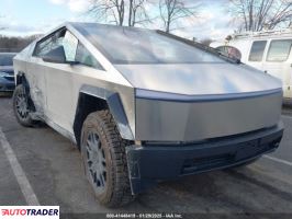 Tesla Pozostałe 2024
