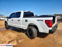 Ford Pozostałe 2024 3