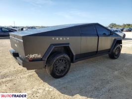 Tesla Pozostałe 2024 Tesla Pozostałe 2024