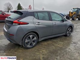 Nissan Leaf 2020