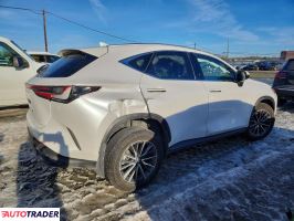 Lexus NX 2025 2