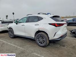 Lexus NX 2025 2