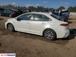 Toyota Corolla 2021 1