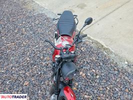 Benelli Leoncino 2022