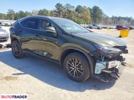 Lexus NX 2024 2