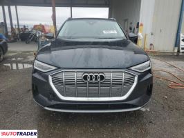 Audi E-tron 2019