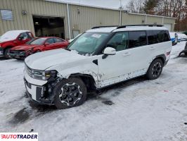 Hyundai Santa Fe 2024 2