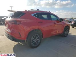 Lexus NX 2024 2