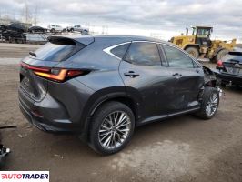 Lexus NX 2025 2
