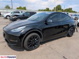 Tesla Model Y 2021 Tesla Model Y 2021