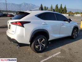 Lexus NX 2020 2