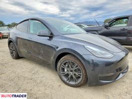 Tesla Model Y 2025