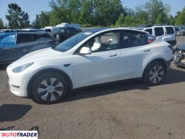Tesla Model Y 2020