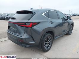 Lexus NX 2022 2