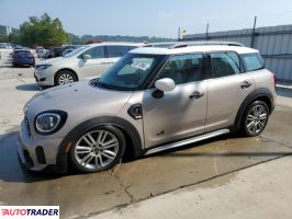 Austin Mini 2024 2
