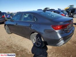 Kia Pozostałe 2024 2