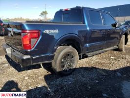 Ford Pozostałe 2024 2