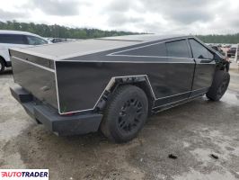 Tesla Pozostałe 2024