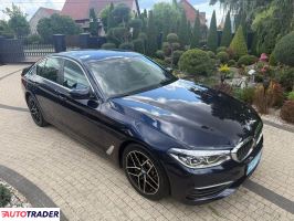BMW 530 2019 3.0 265 KM BMW 530 2019 3.0 265 KM