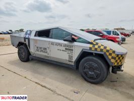 Tesla Pozostałe 2024
