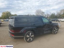 Hyundai Santa Fe 2024 2