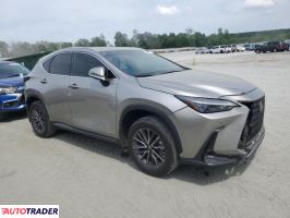 Lexus NX 2022 2 Lexus NX 2022 2