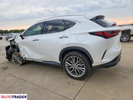 Lexus NX 2023 2