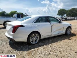 Cadillac Pozostałe 2024 2 Cadillac Pozostałe 2024 2