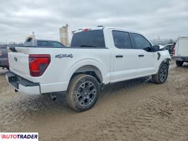 Ford Pozostałe 2024 2