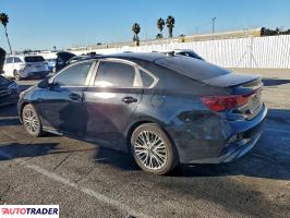 Kia Pozostałe 2024 2