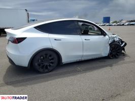 Tesla Model Y 2021 Tesla Model Y 2021