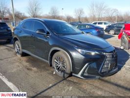 Lexus NX 2024 2