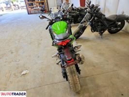 Kawasaki Pozostałe 2025