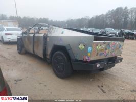 Tesla Pozostałe 2024