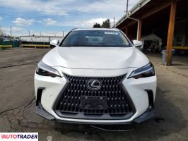 Lexus NX 2024 2